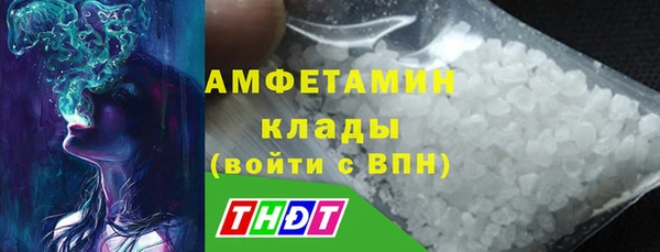 шишки Абаза