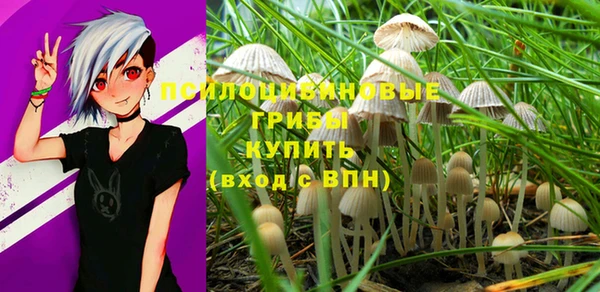 spice Абдулино