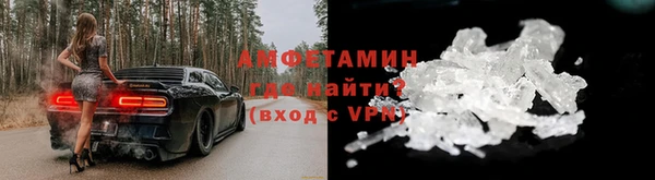 шишки Абаза