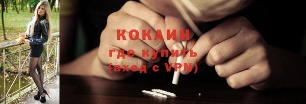 шишки Абаза