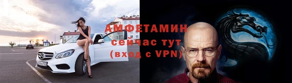 шишки Абаза