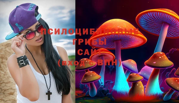 шишки Абаза