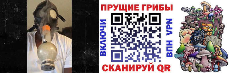 где купить наркоту  Приволжск  Псилоцибиновые грибы MAGIC MUSHROOMS 